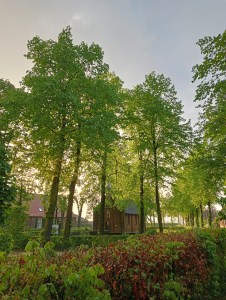 Na een regenbui, staat een kapel omringt door hoge, groene bomen in het avondlicht.