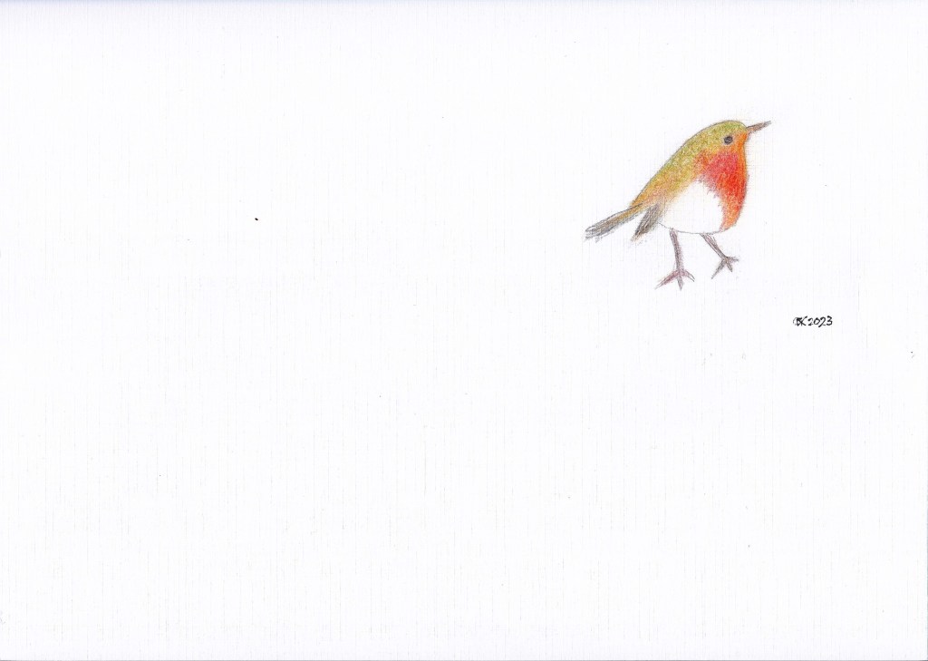 een eigengemaakte, simpele tekening van een roodborstje