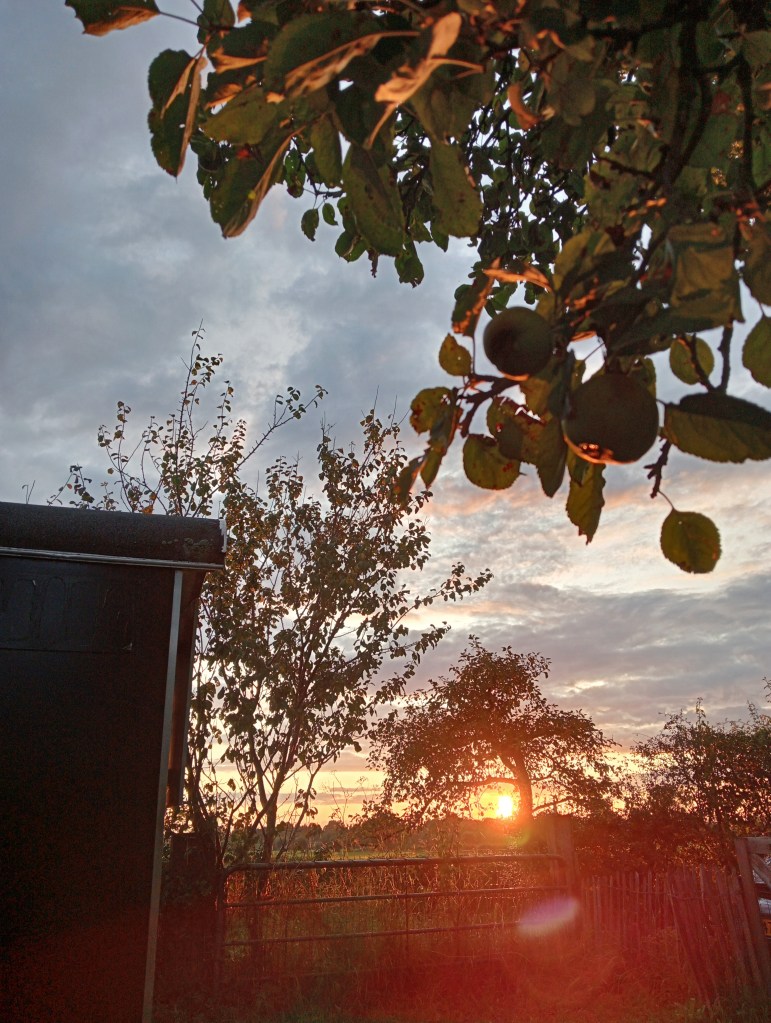 zicht op de zonsondergang in de verte en het laat een oranje gloed achter