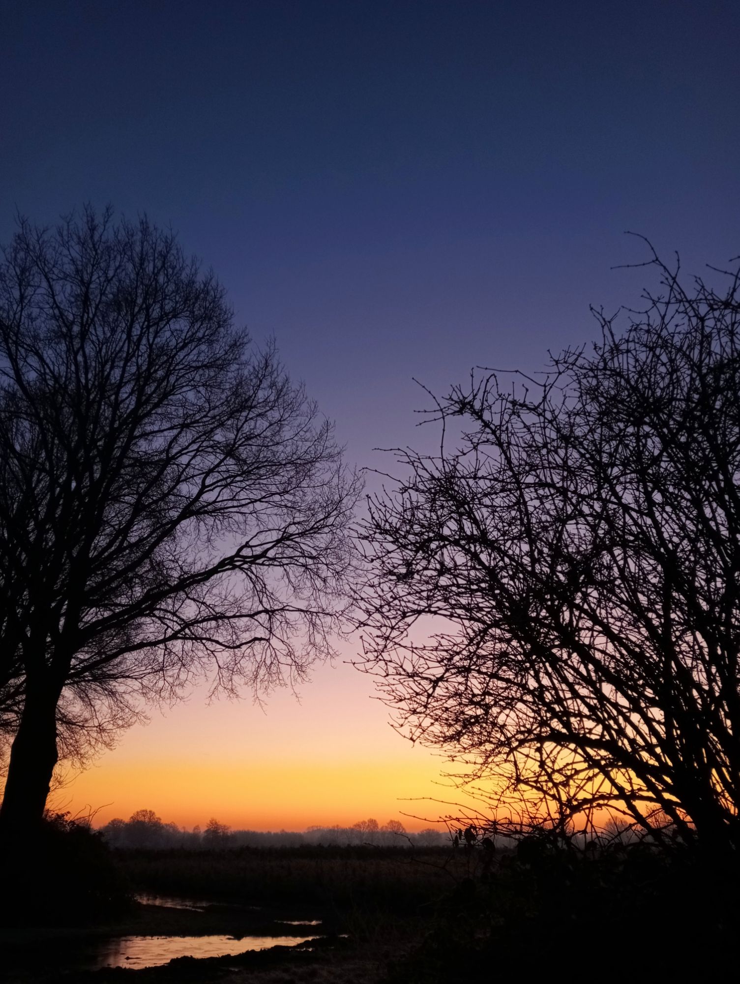 zonsopgang bij de buurtboerderij